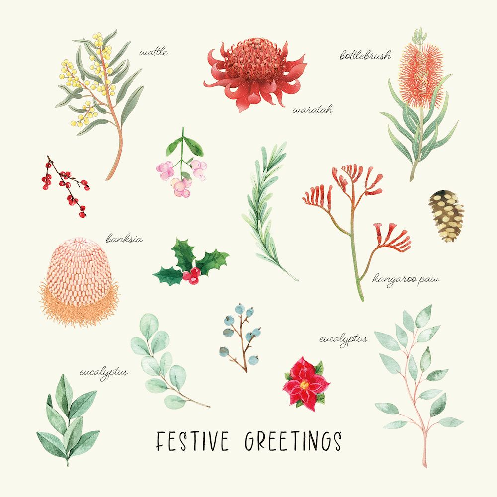 BCNA Australian Flora - Charity Christmas Card Pack