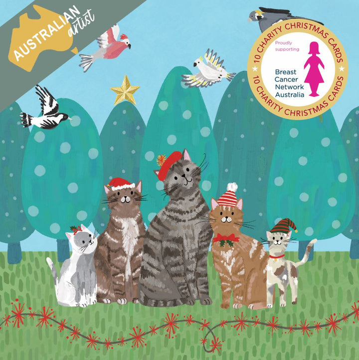 BCNA Santa Cats - Charity Christmas Card Pack