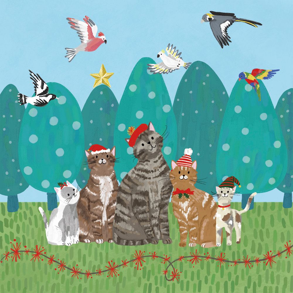 BCNA Santa Cats - Charity Christmas Card Pack