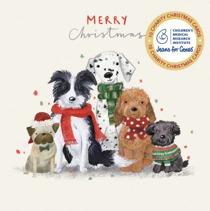 CMRI Furry Friends - Charity Christmas Card Pack