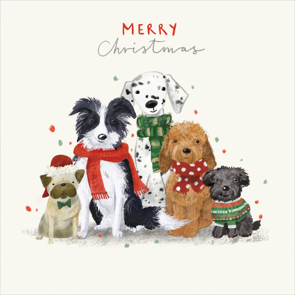 CMRI Furry Friends - Charity Christmas Card Pack