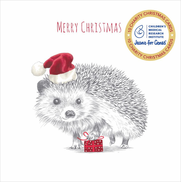 CMRI Hedgehog Present - Charity Christmas Card Pack