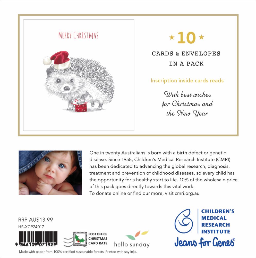 CMRI Hedgehog Present - Charity Christmas Card Pack