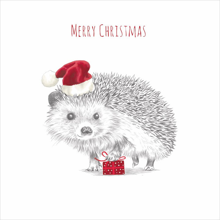 CMRI Hedgehog Present - Charity Christmas Card Pack