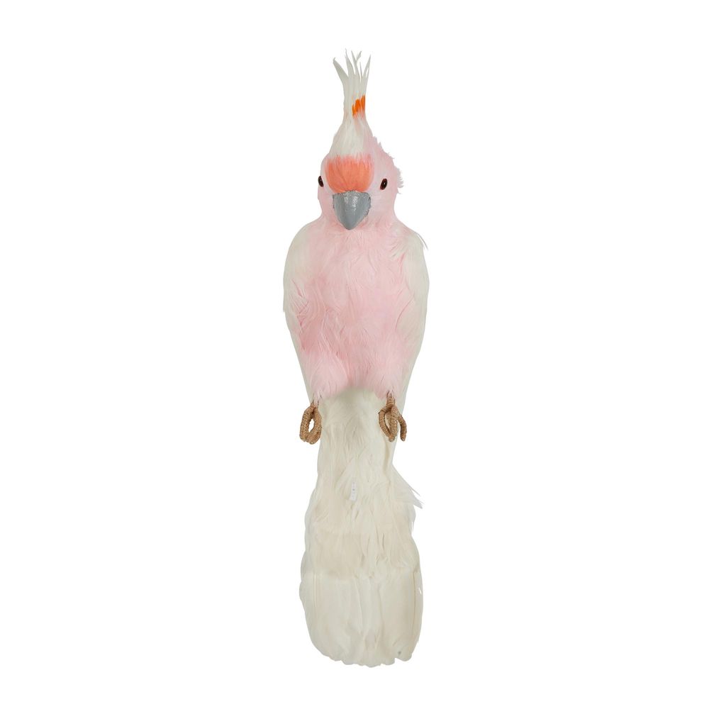 Pink Galah - Pearched