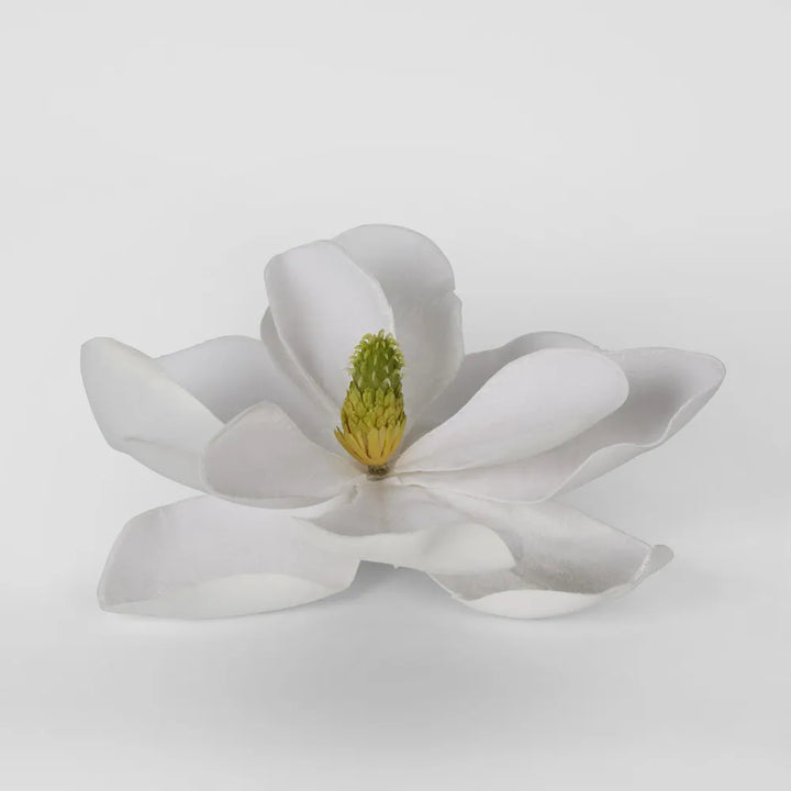 Grandiflora Clip on Velvet Magnolia