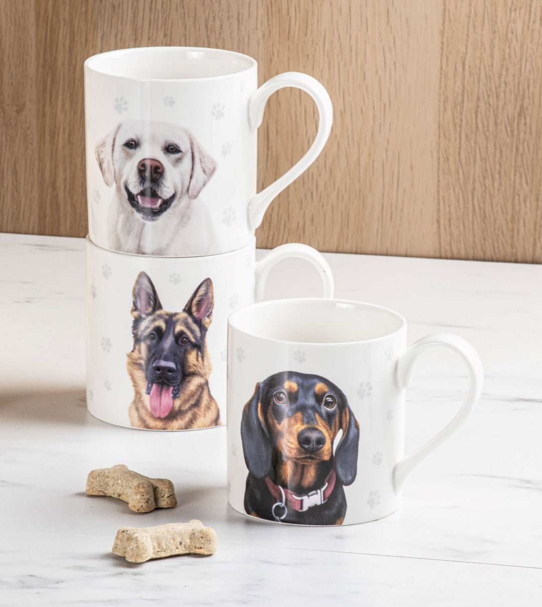 Ashdene Paws & All Labrador Mug