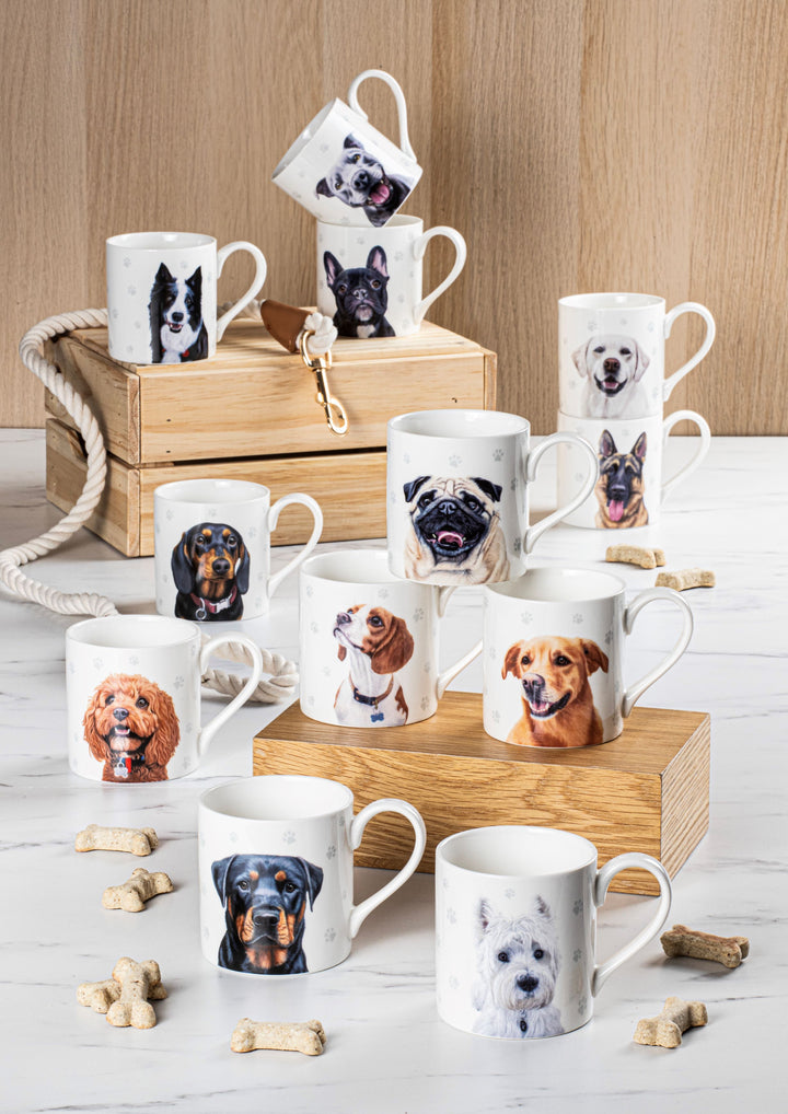 Ashdene Paws & All Labrador Mug