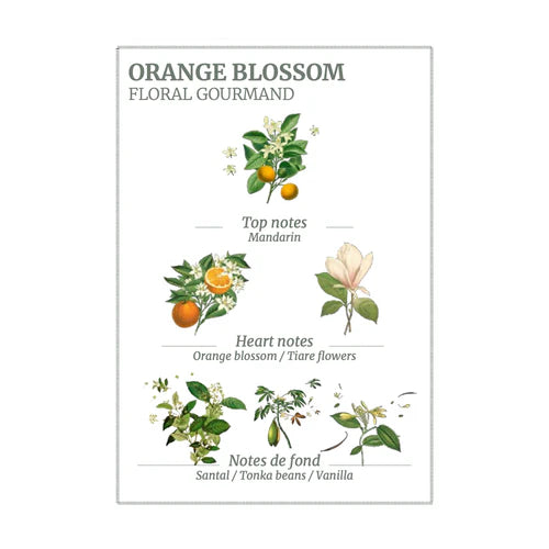 Panier des Sens Weekend Set - Orange Blossom