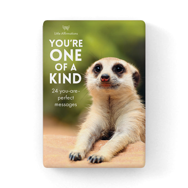 You're One of a Kind | 24 affirmations cards + stand