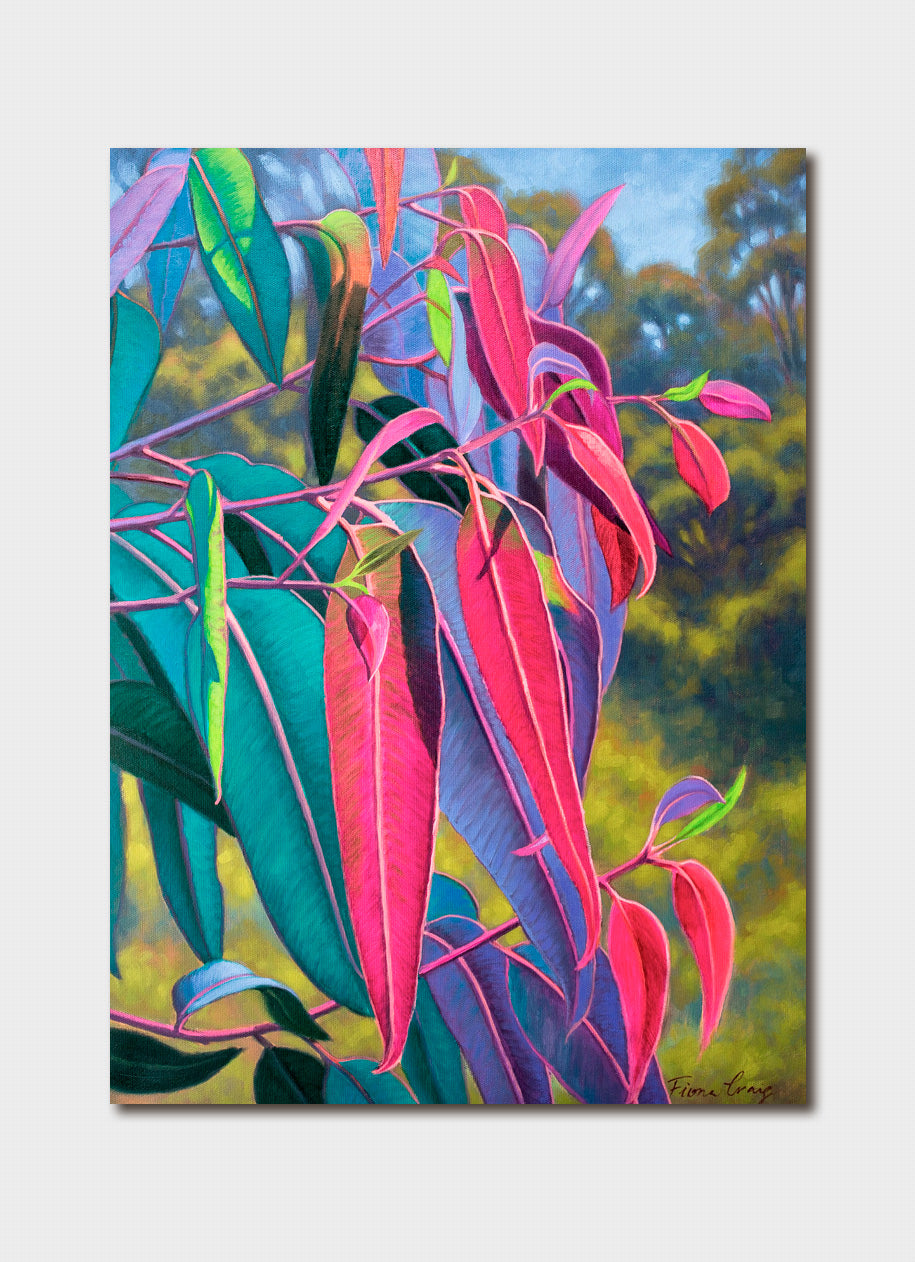 Fiona Craig Sunlit Gumleaves Card