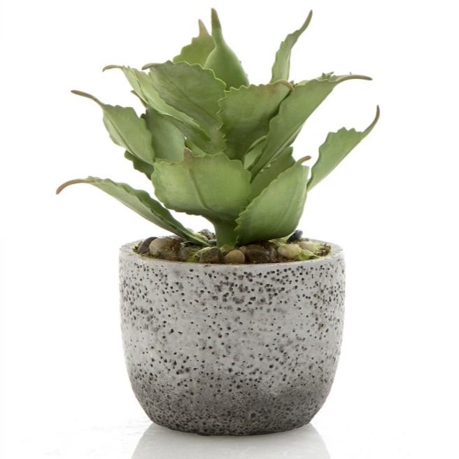 Artificial Agave in Concrete Pot - 23cm