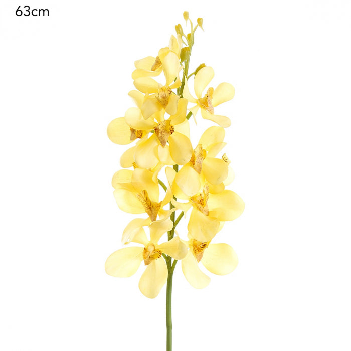 Vanda Mini Spray 63cm - Yellow