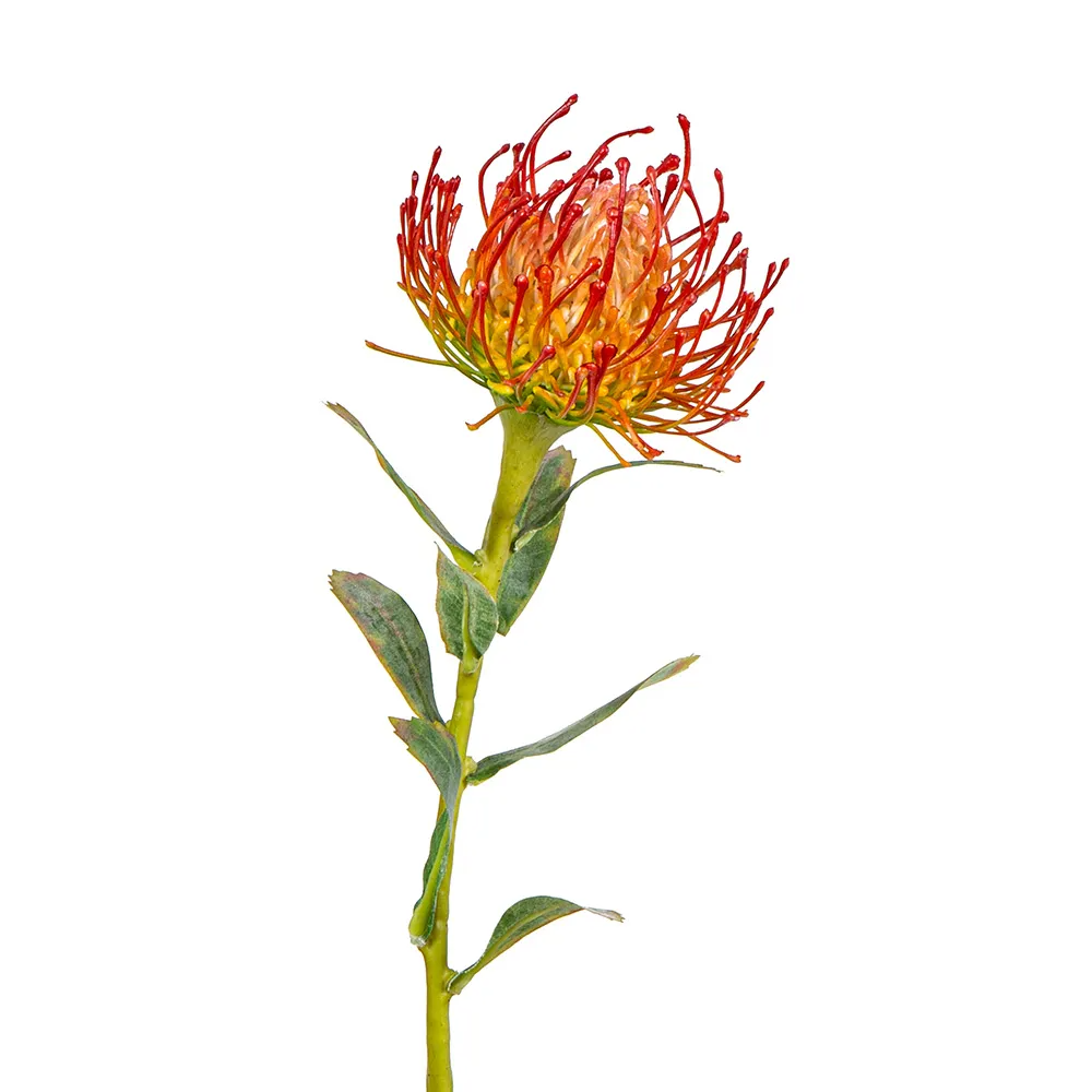 Artificial Protea Stem - Orange