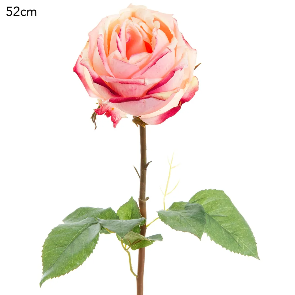 York Pink Rose - Short Stem