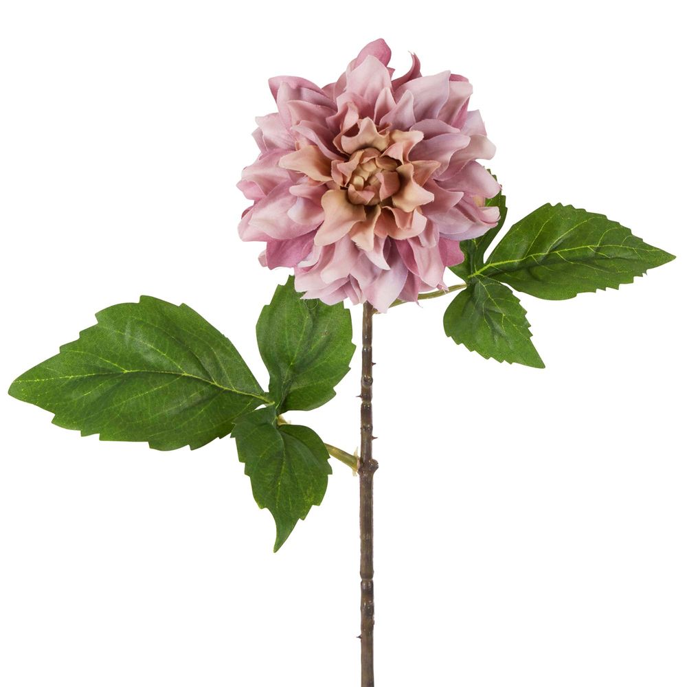 Dried Dahlia Stem 43cm - Mauve