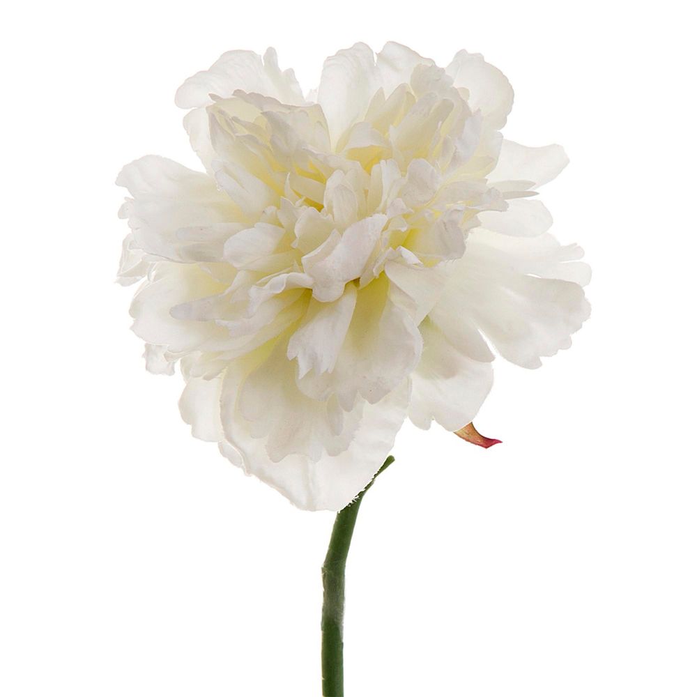 Peony Short Stem 30cm White