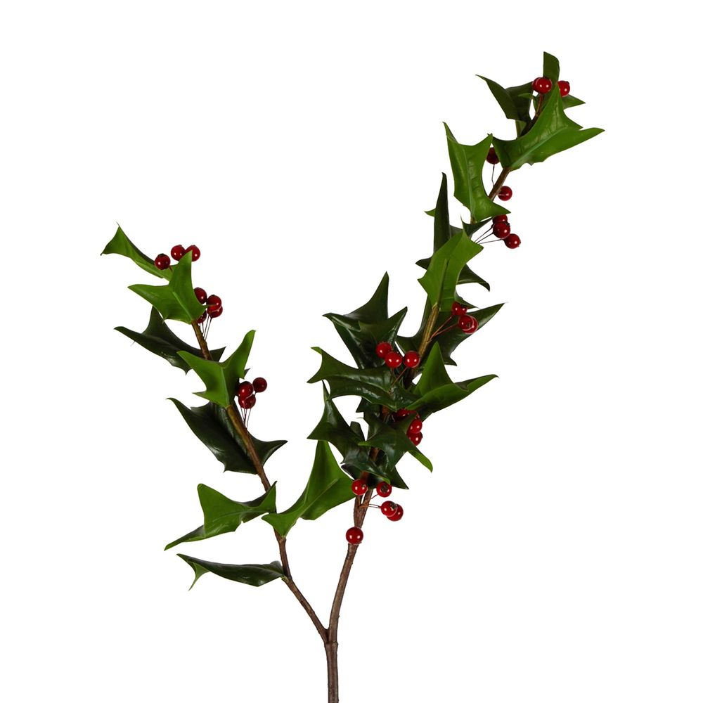 Holly Stem With Berries