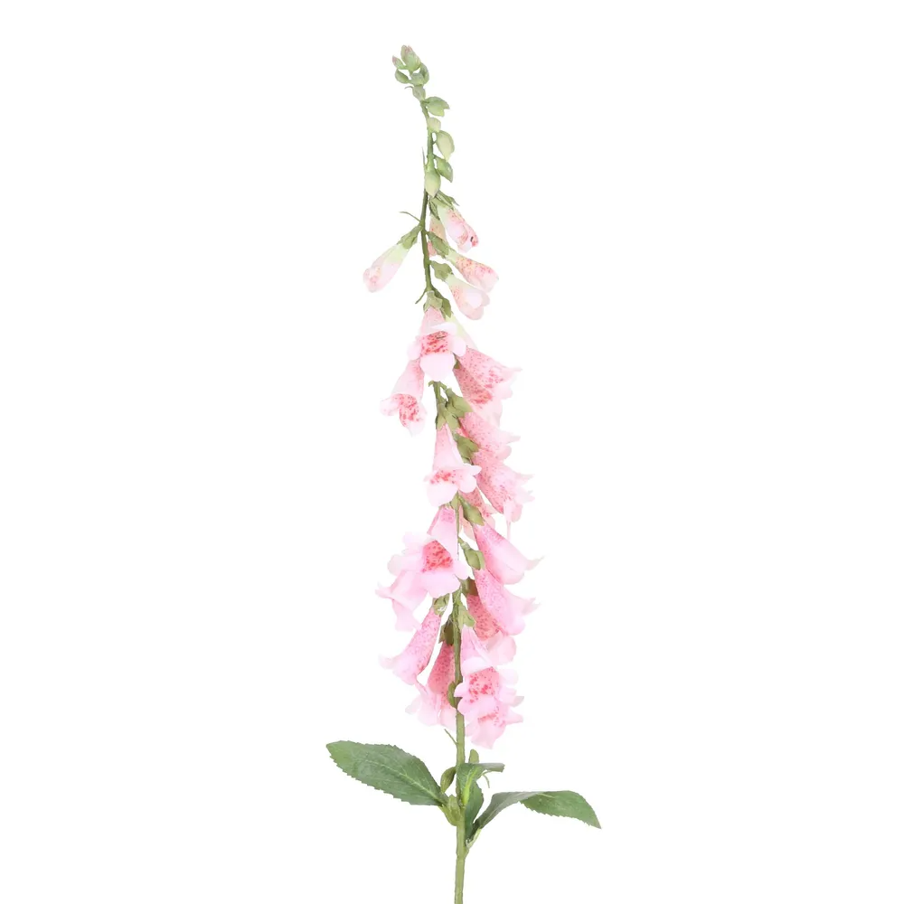 Foxglove Spray - Pink