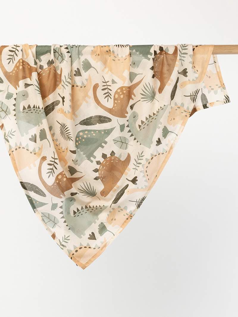 Dinosaur Baby Swaddle