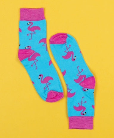 Meet the Flockers Kids Socks 6-10yr by Sock it Up