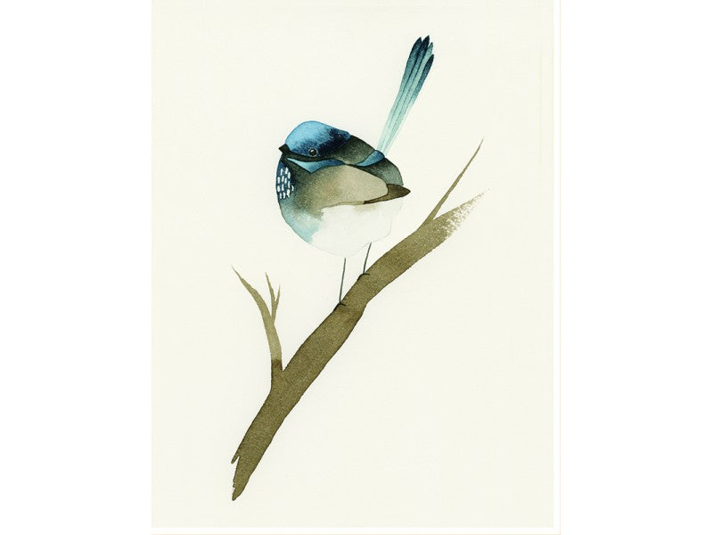 Mini Card - Blue Fairy Wren